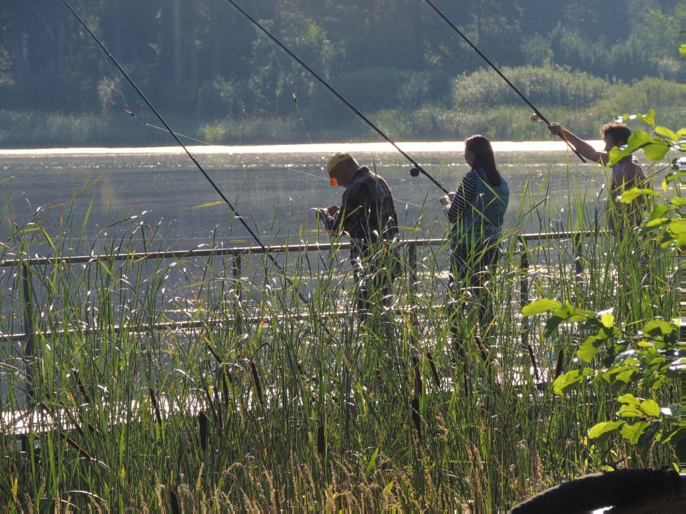 ������-��������������� ����� '������'