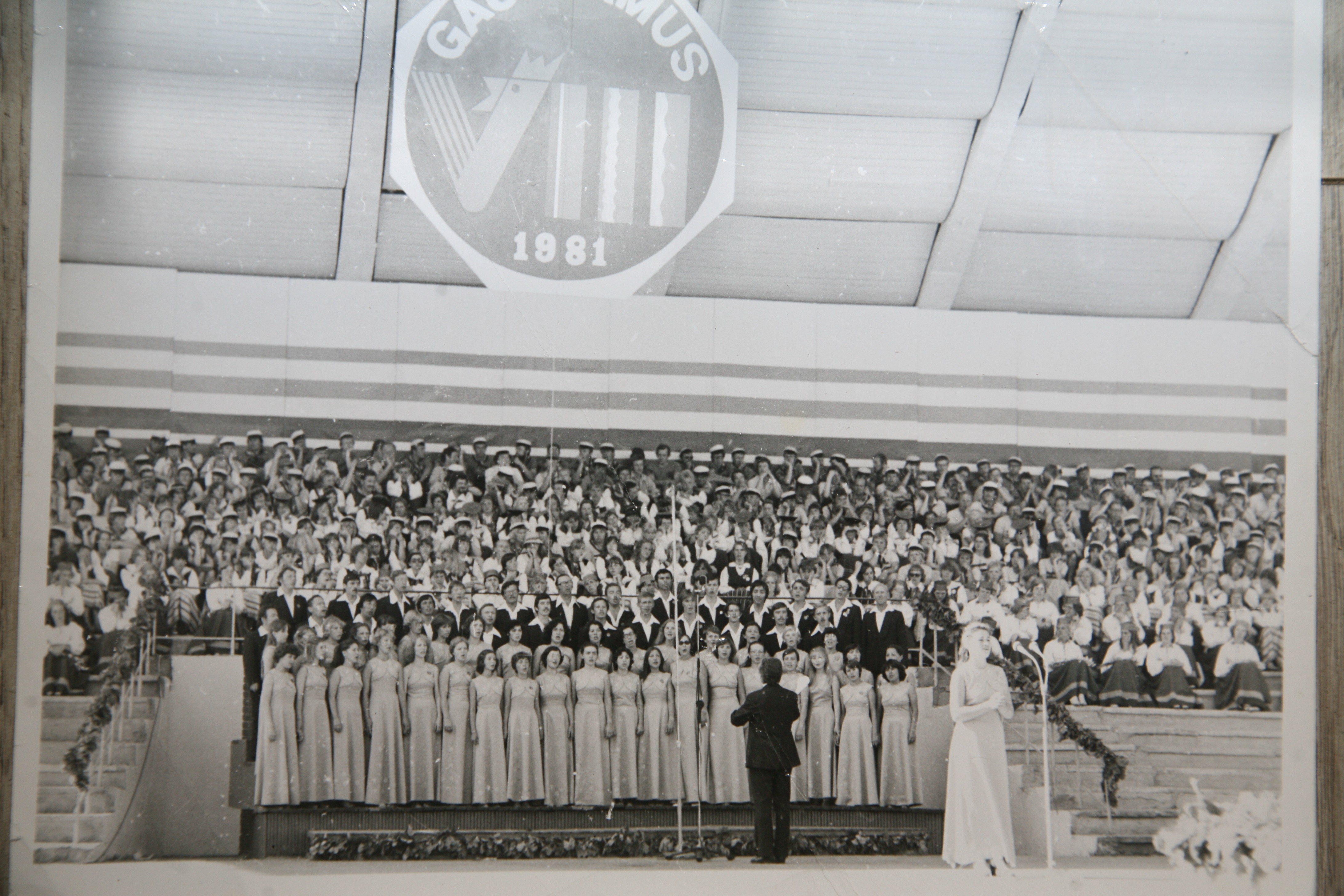 � �������