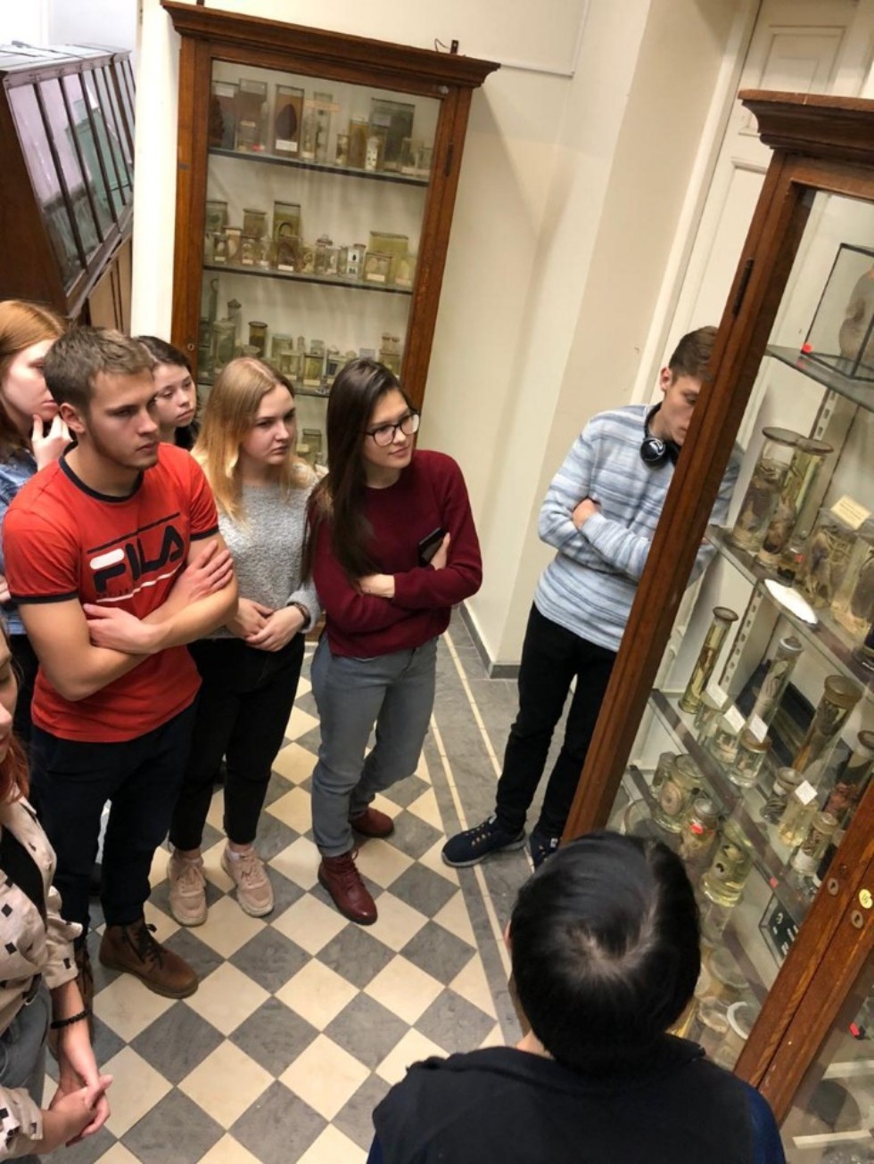 Студенты регионоведы продолжили знакомство с Казанским университетом Студенты регионоведы продолжили знакомство с Казанским университетом