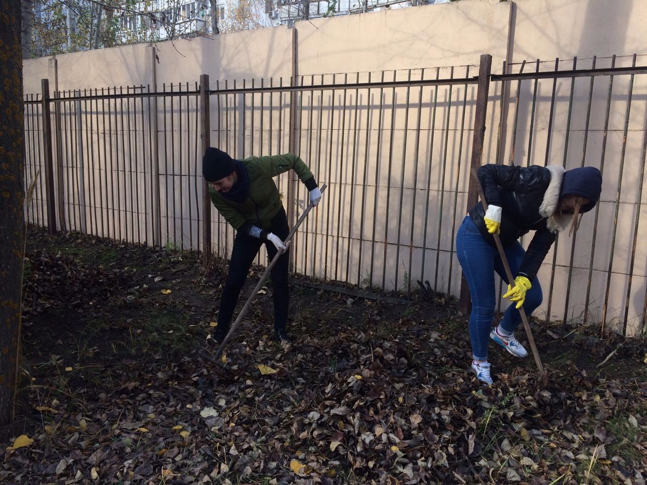 Ө�ә�ә �������� ү�� ��������