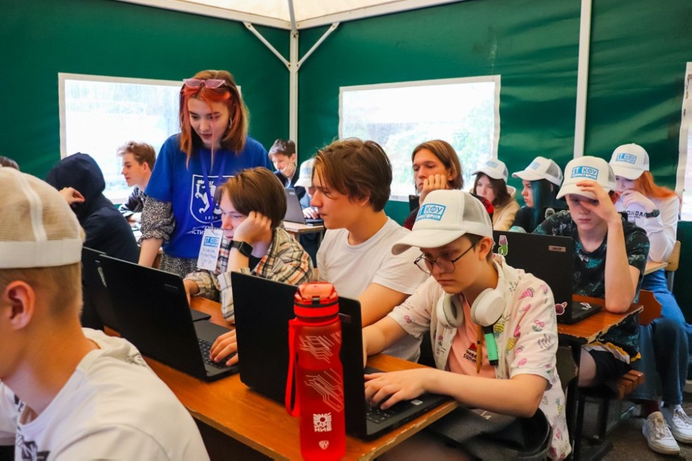 IT-����������