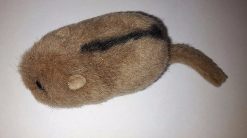 The second Joint seminar on Dormice genome project was organized by 'Extreme Biology' Lab. The second Joint seminar on Dormice genome project was organized by 'Extreme Biology' Lab.