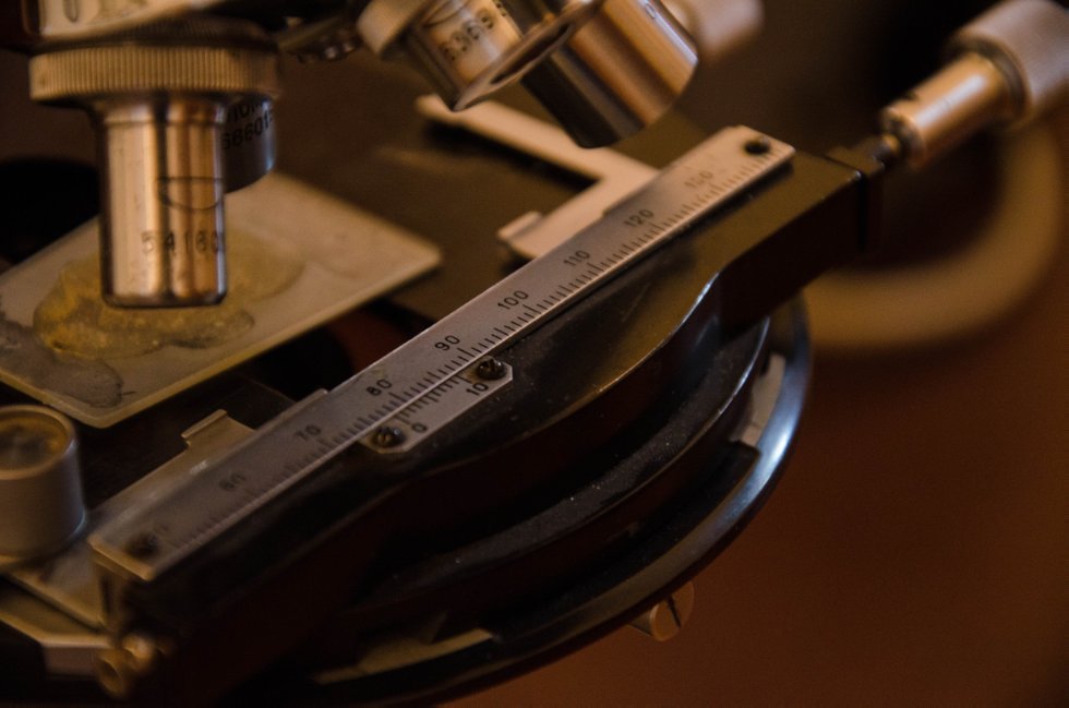 Collections History Collections History