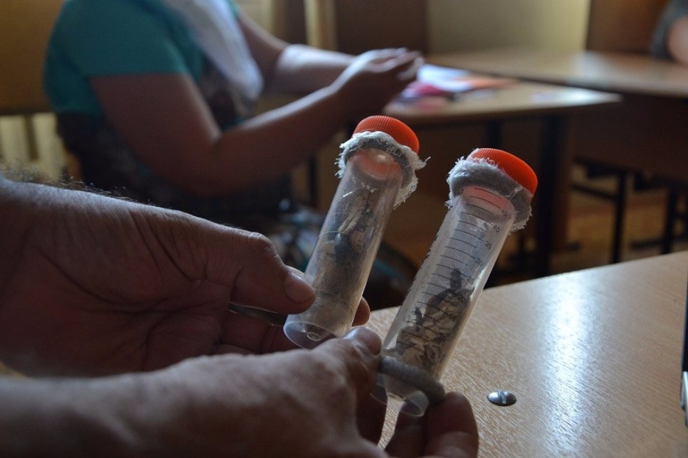 '�������� ������� � � �������'