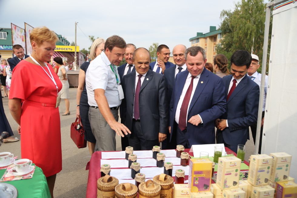 ���������� �����������, ����������