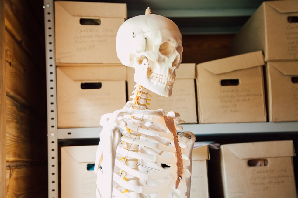 ��������