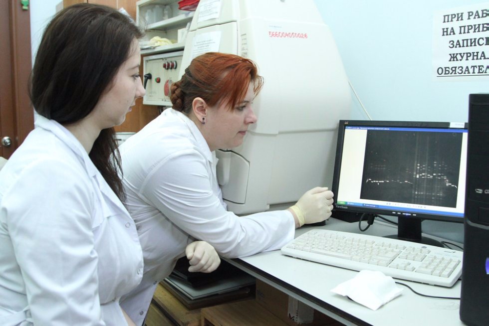 What is behind the DNA?