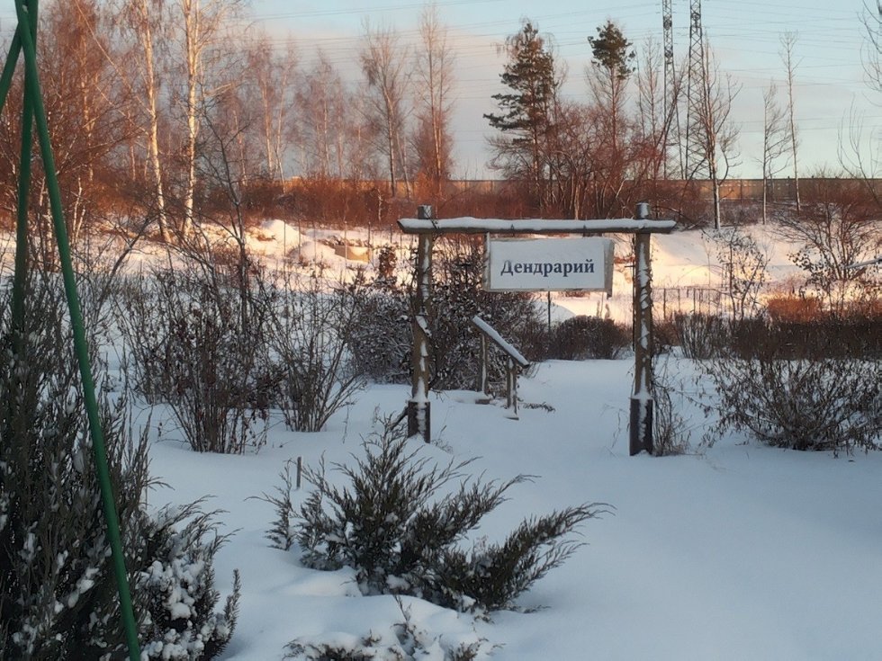 ������������ ���