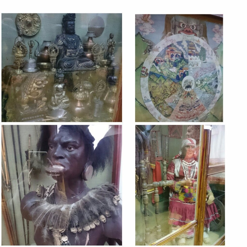 �����������-������������� �������� ��������������� ����� ���