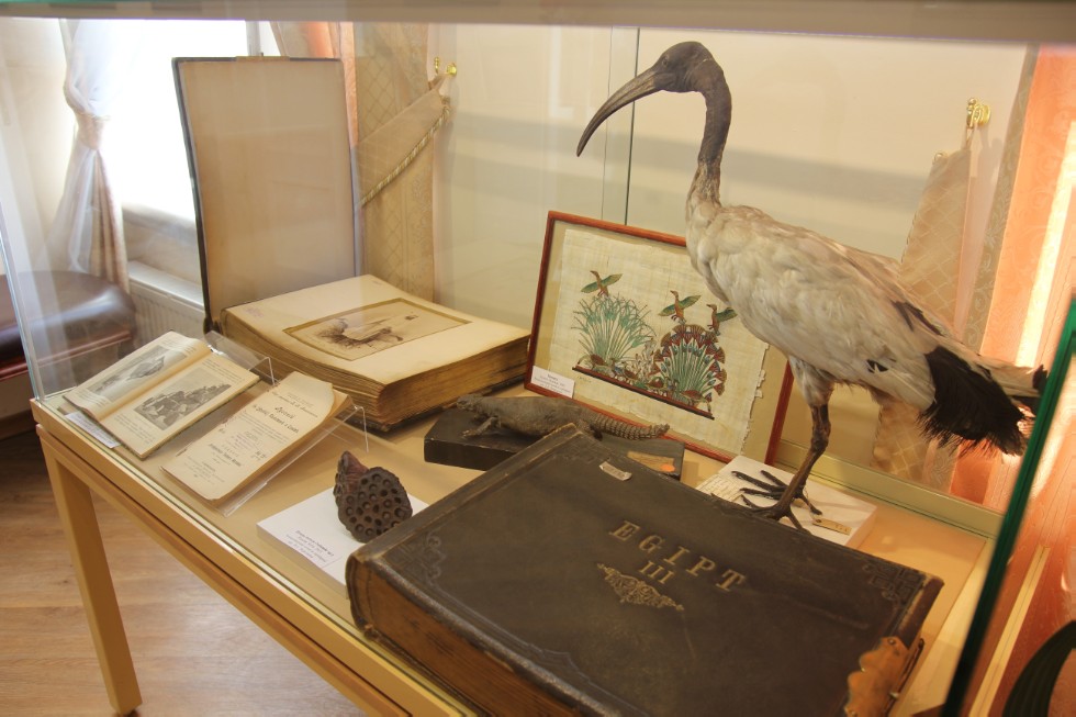 �������� �������� 