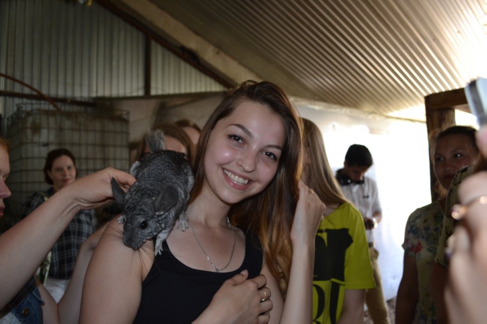 ������� � ������� ����� ������