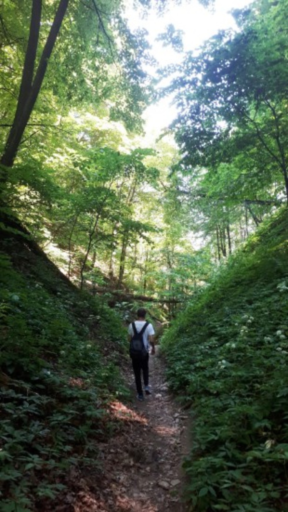 Физики - 'спелеологи' (2018г.) Физики - 'спелеологи' (2018г.)