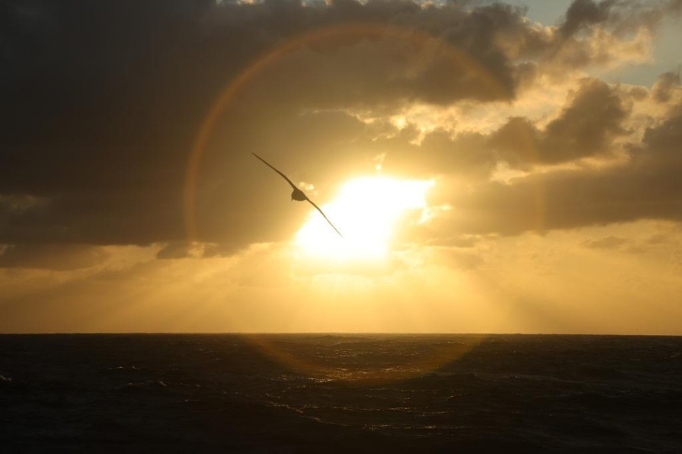 Astronomer speaks about trans-Atlantic navigation