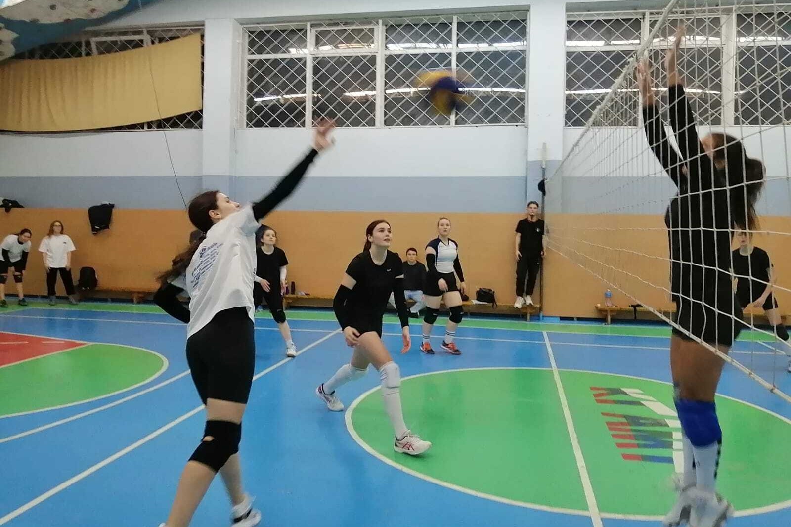 Женская команда института по волейболу вновь привезла победу Женская команда института по волейболу вновь привезла победу