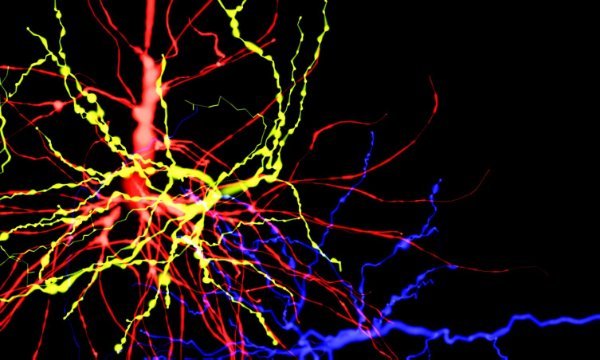 Special Effects in Cinema. Master-Class will Be Given by a Famous Swiss Scientist in KFU