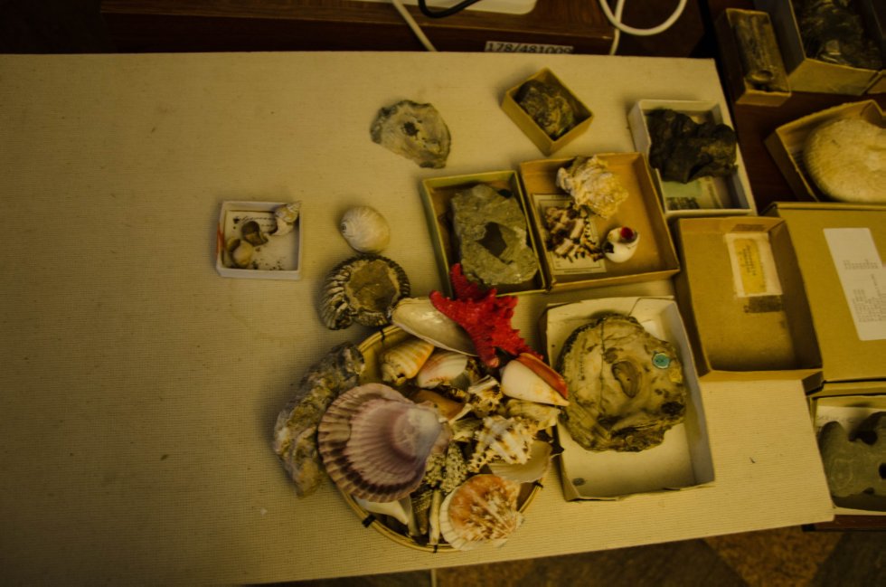 Collections History Collections History