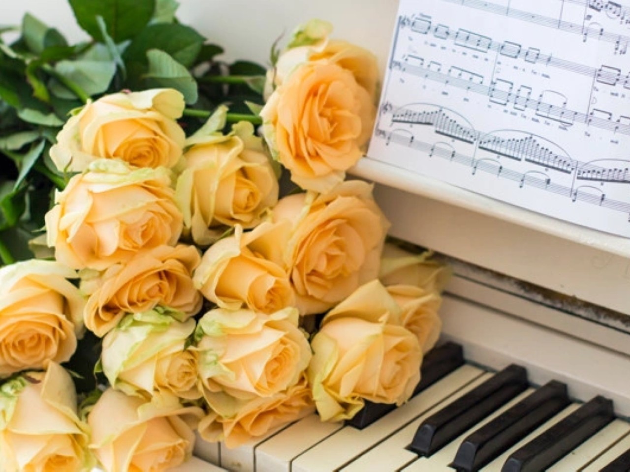 ���� ������� ������