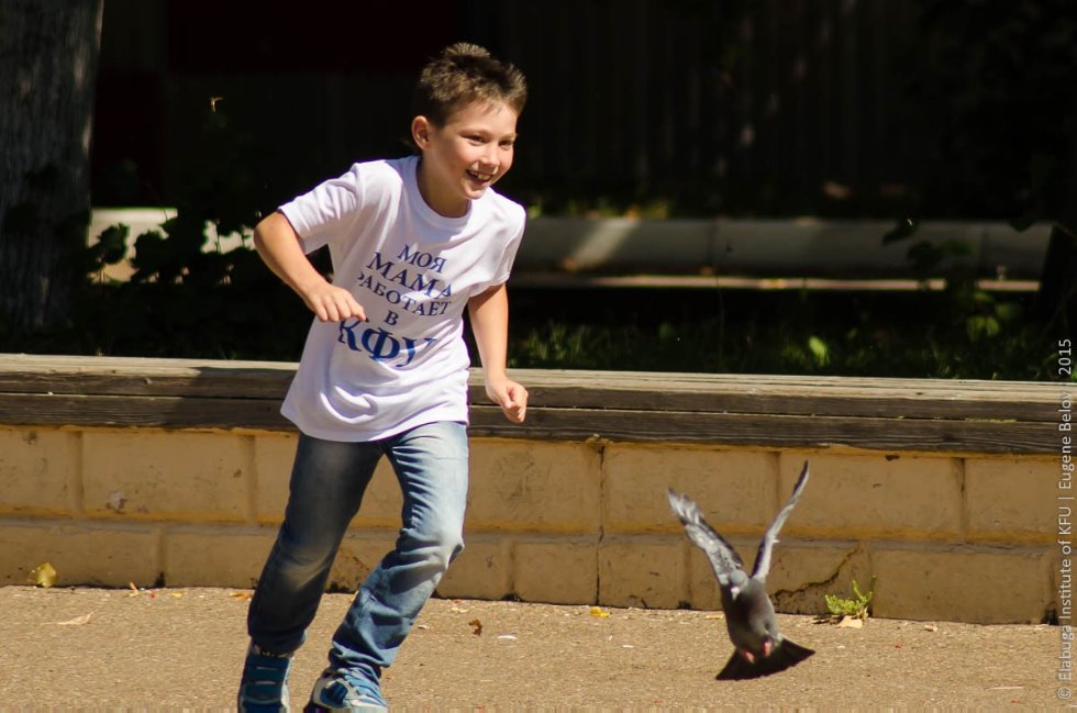 Всероссийский фестиваль школьных учителей в Елабуге Всероссийский фестиваль школьных учителей в Елабуге