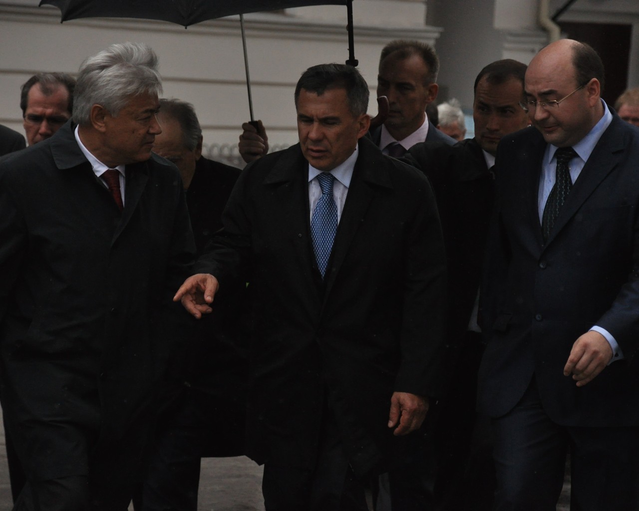 �����������