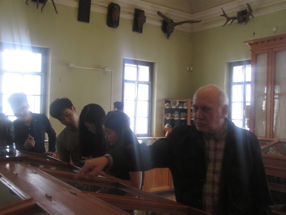 ����������� �������� �������� ����� ���