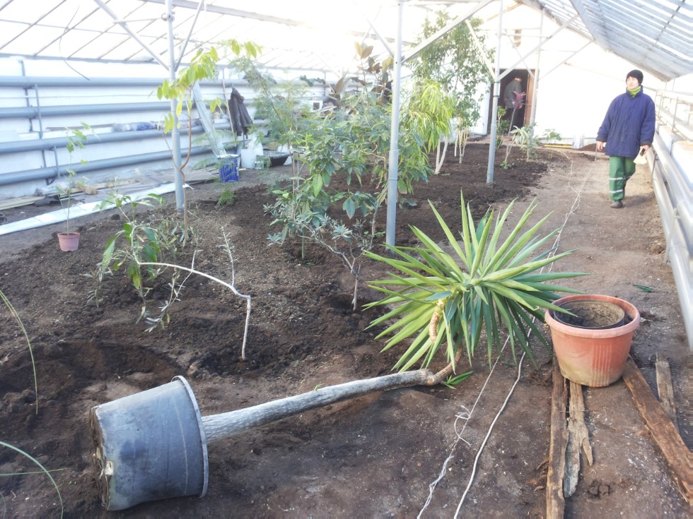 Ботанический сад К(П)ФУ Ботанический сад К(П)ФУ