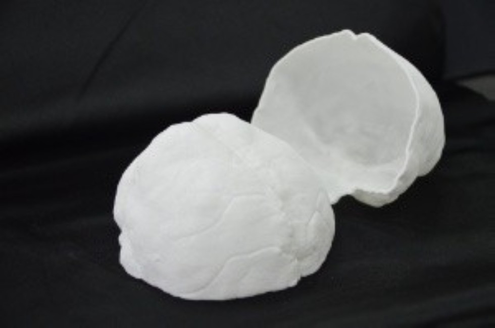 ������������ ,additive manufacturing, 3d print, biomedical engineering