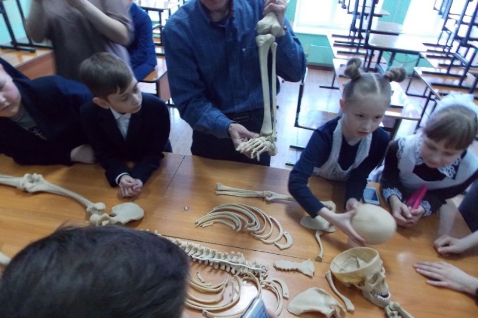 '������ �����' ��� ���������� � ���������