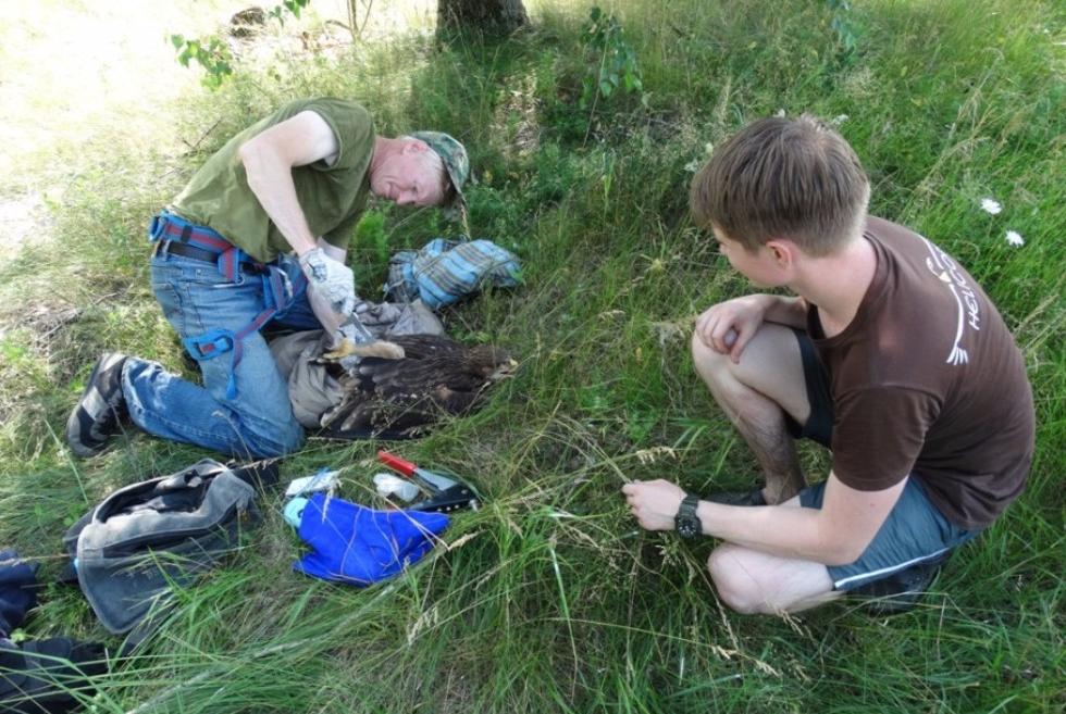 ������ ����������� ��������� ��� ��������� �������� �� ���������� �� ���������