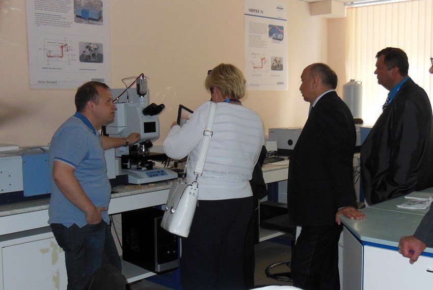 ����� �� ������ '���� ������'?