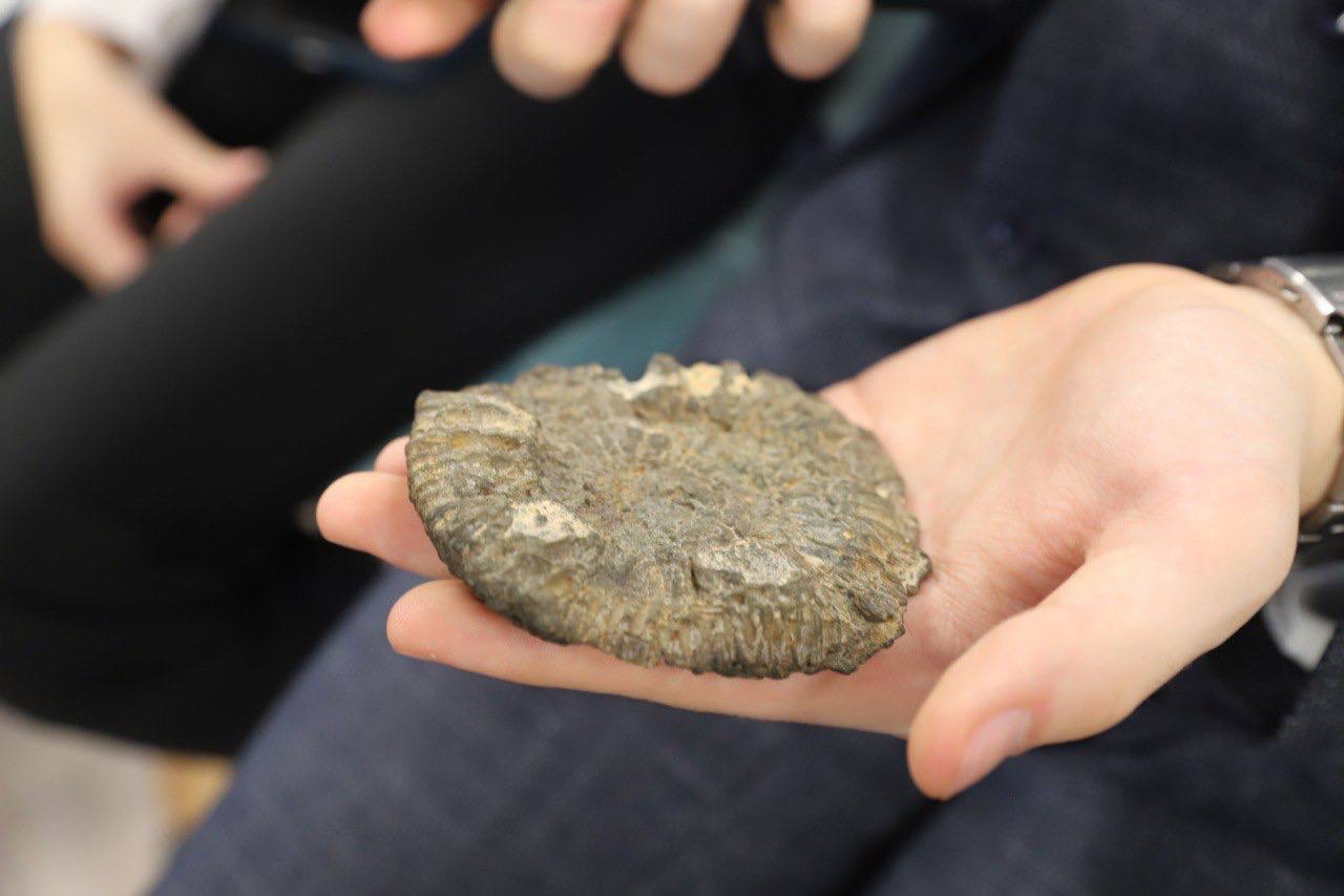 ������� ����� �� ��������