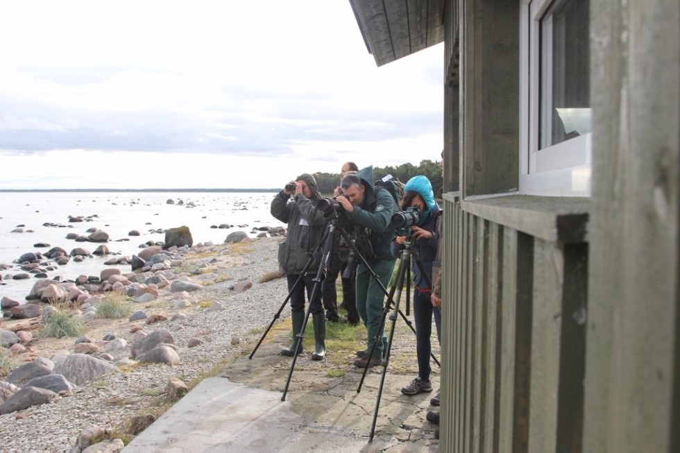 Elabuga Institute scientist took part in a Conference White-tailed Sea Eagle 2017 in Estonia