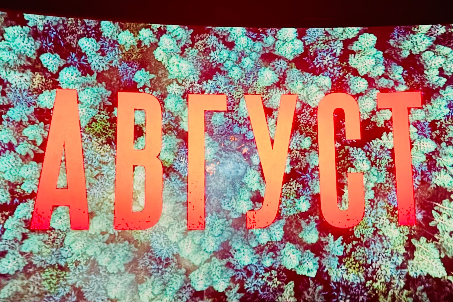 Студенты-историки Елабужского института КФУ оценили экранизацию романа Богомолова Студенты-историки Елабужского института КФУ оценили экранизацию романа Богомолова