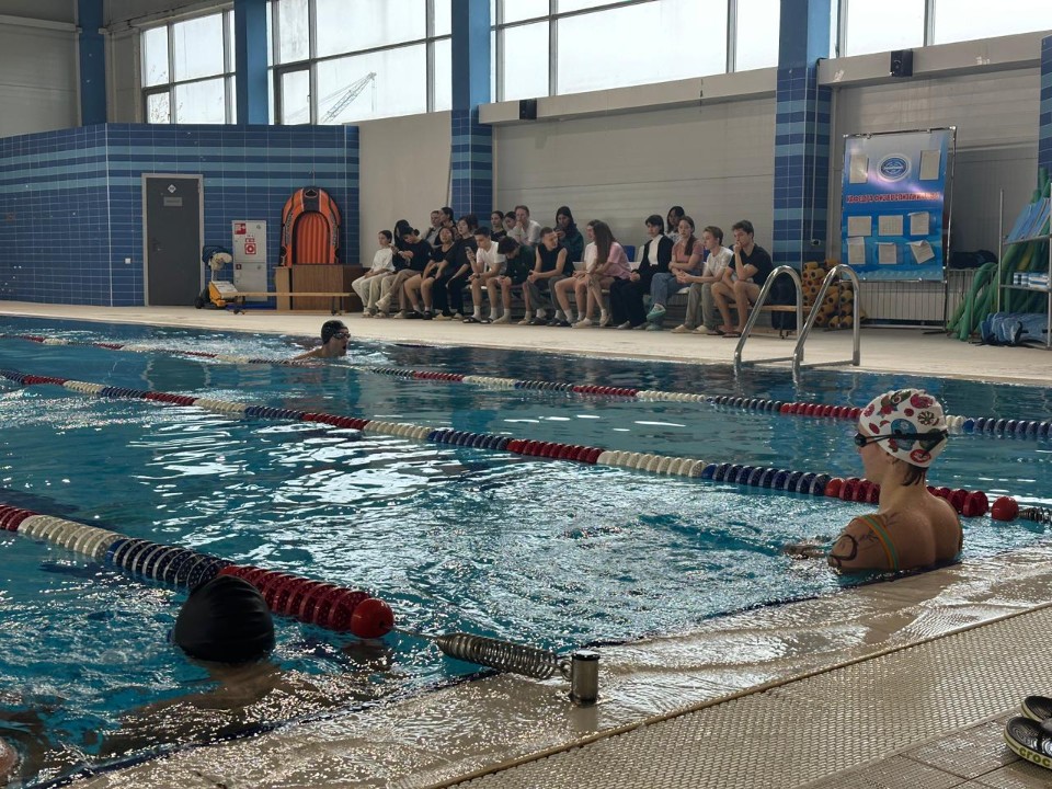 'Бустаниада: плавание' 'Бустаниада: плавание'