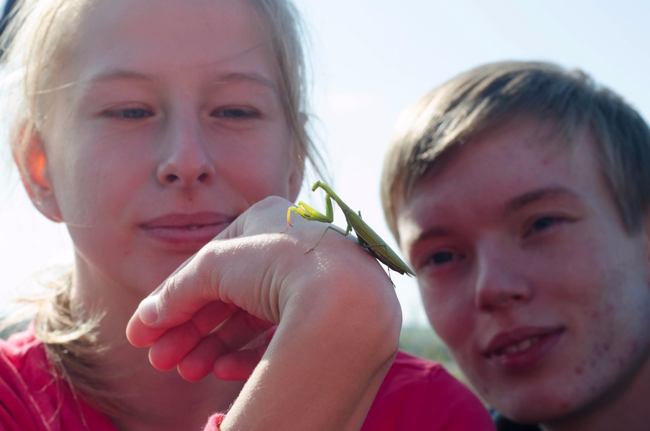 Ландшафтная учебная практика (20-28 сентября 2017 г.) Ландшафтная учебная практика (20-28 сентября 2017 г.)