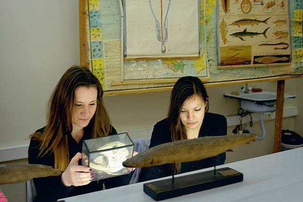 �������� ,��������, ������������, �����������