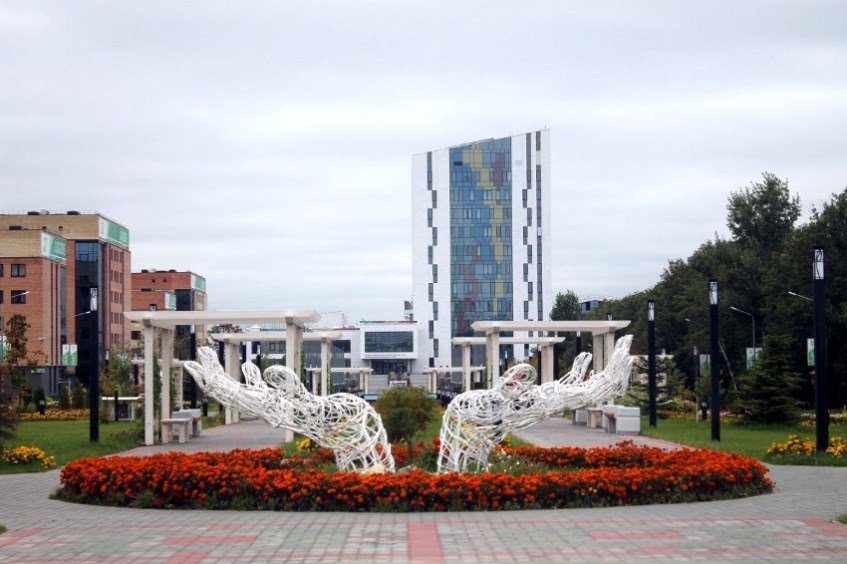 Общежития Общежития