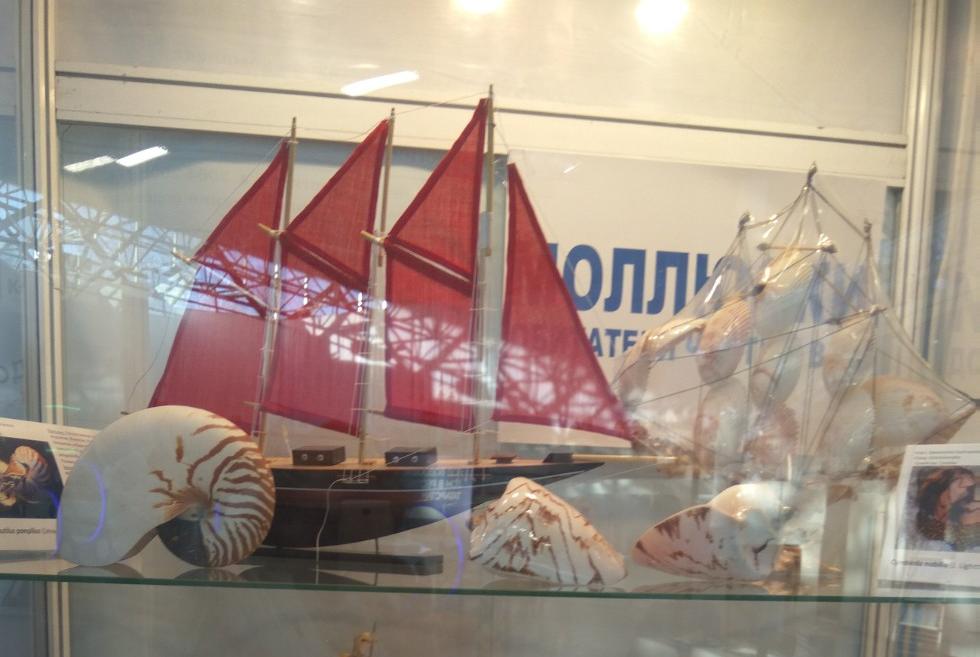 Итоги участия КФУ в выставке 'ЧИСТАЯ ВОДА. КАЗАНЬ': победа в конкурсе технологий Итоги участия КФУ в выставке 'ЧИСТАЯ ВОДА. КАЗАНЬ': победа в конкурсе технологий