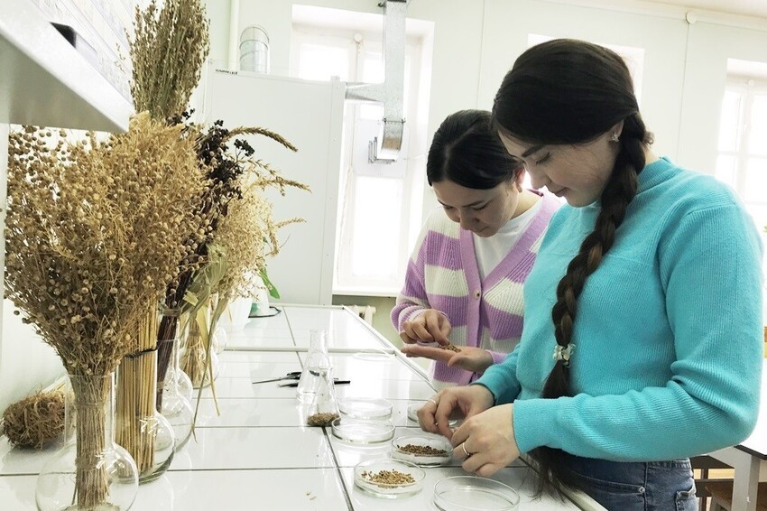 Студенты Елабужского института КФУ отметили праздник 'Навруз' Студенты Елабужского института КФУ отметили праздник 'Навруз'