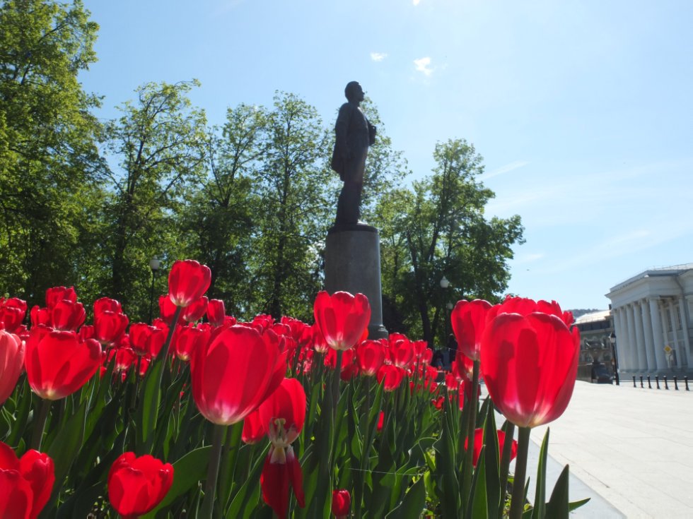 ������ ����. ���������� � �� �����������