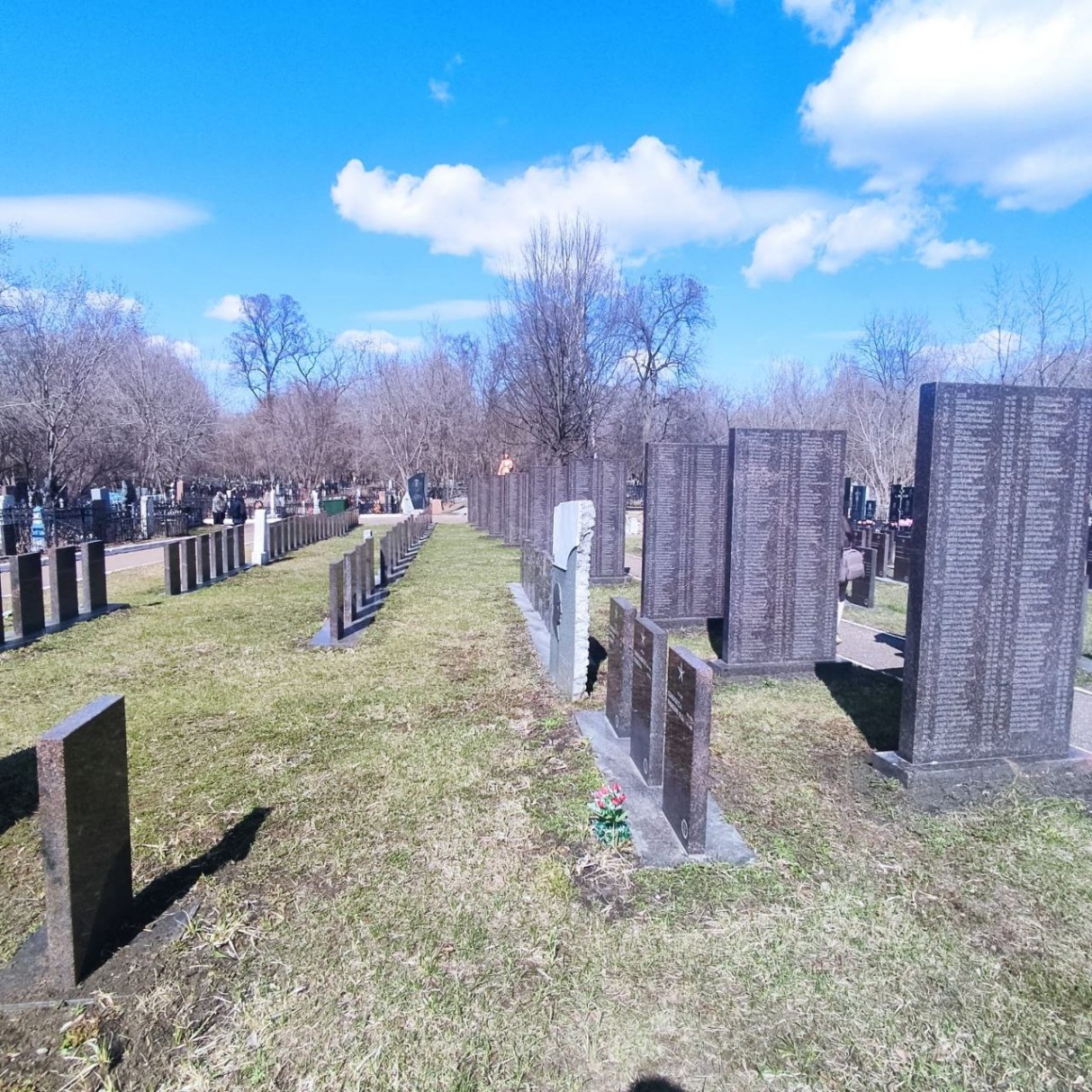 �������� � ���������� ���� �������������� � ��������� �������� ����������� ������� ���