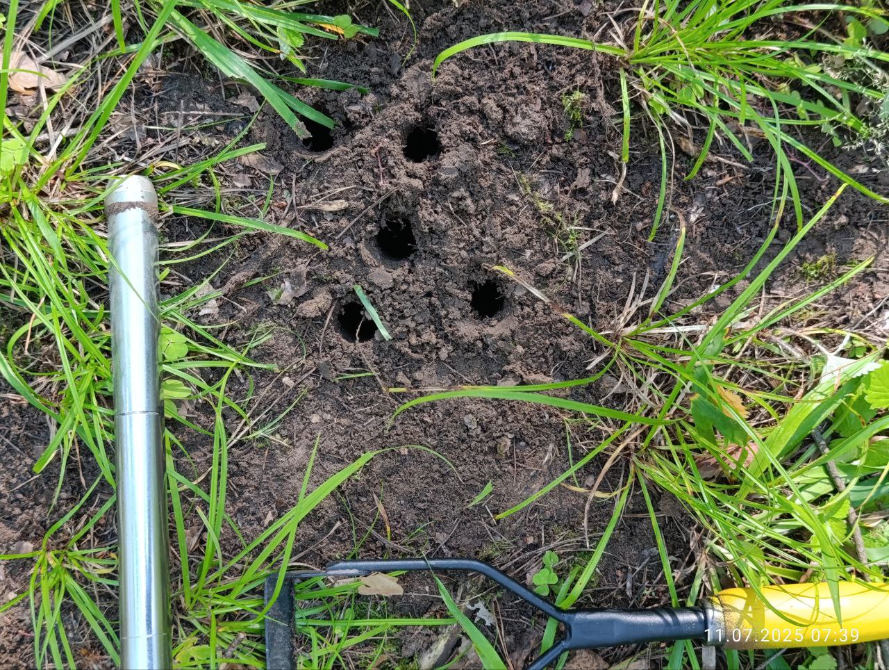 Исследования запасов углерода в сосняках Национального парка Исследования запасов углерода в сосняках Национального парка