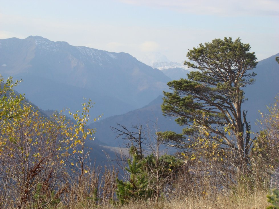 ���������� �� ��������� ���, ��� ���, ������ ����� (2009�.)