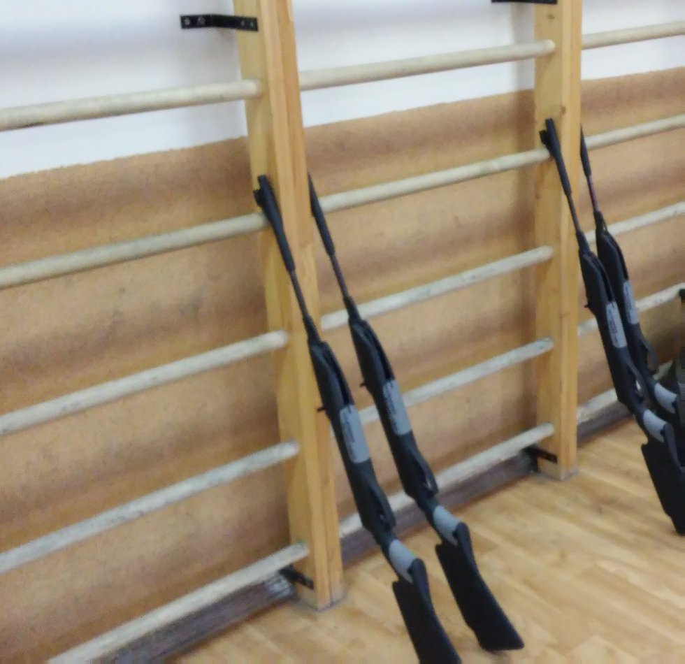 Сдаём нормы ГТО! Сдаём нормы ГТО!