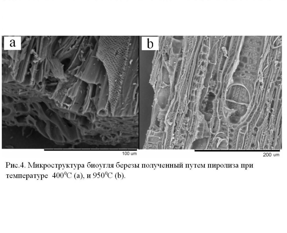 ���������� ������������ �������������� �������