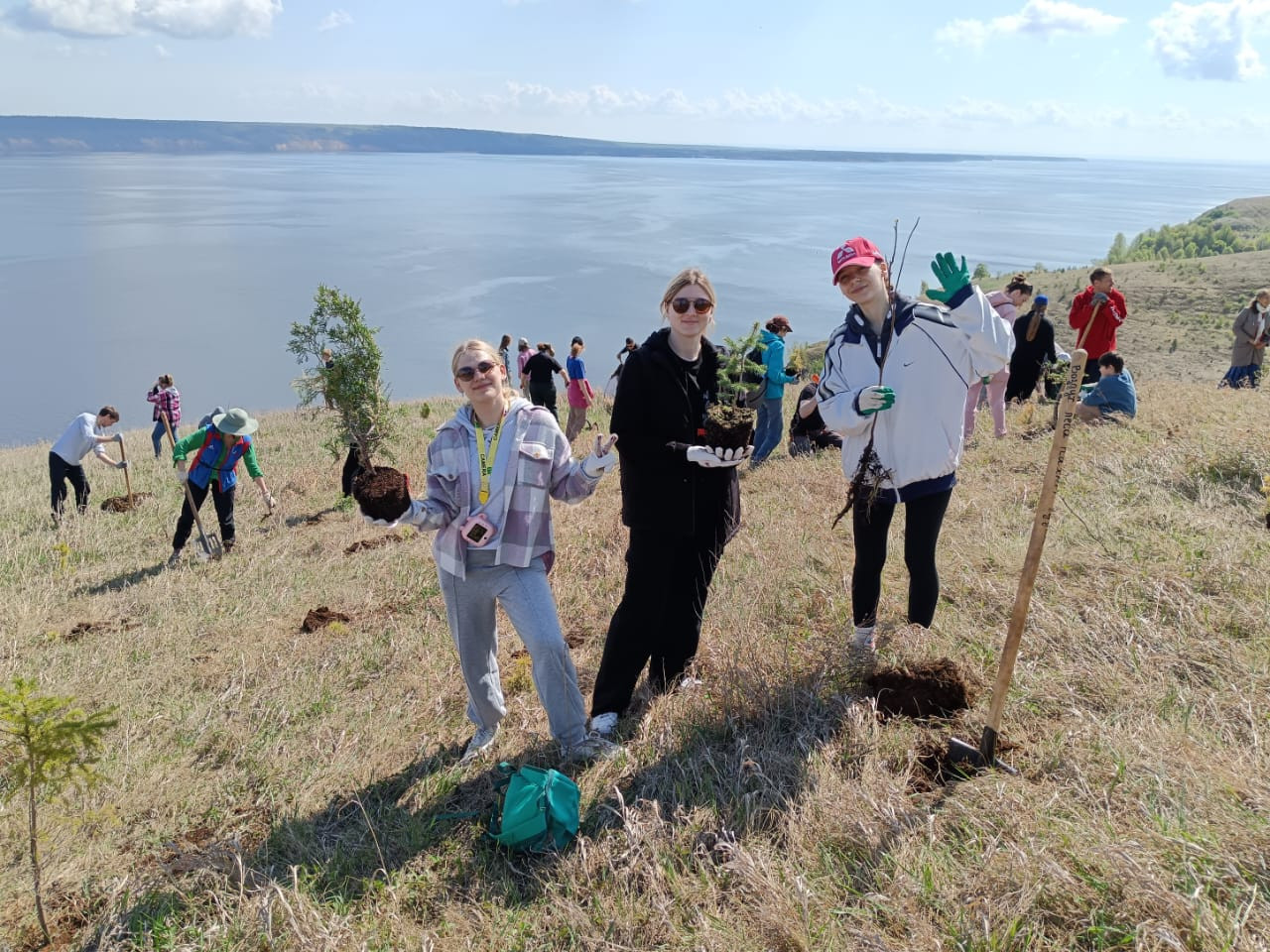 Деревья - вместо бронзы и мрамора Деревья - вместо бронзы и мрамора