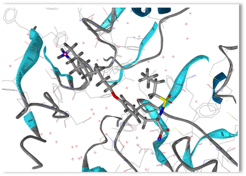 ����� ��������: '��������������� ? ��� ������ � �������'