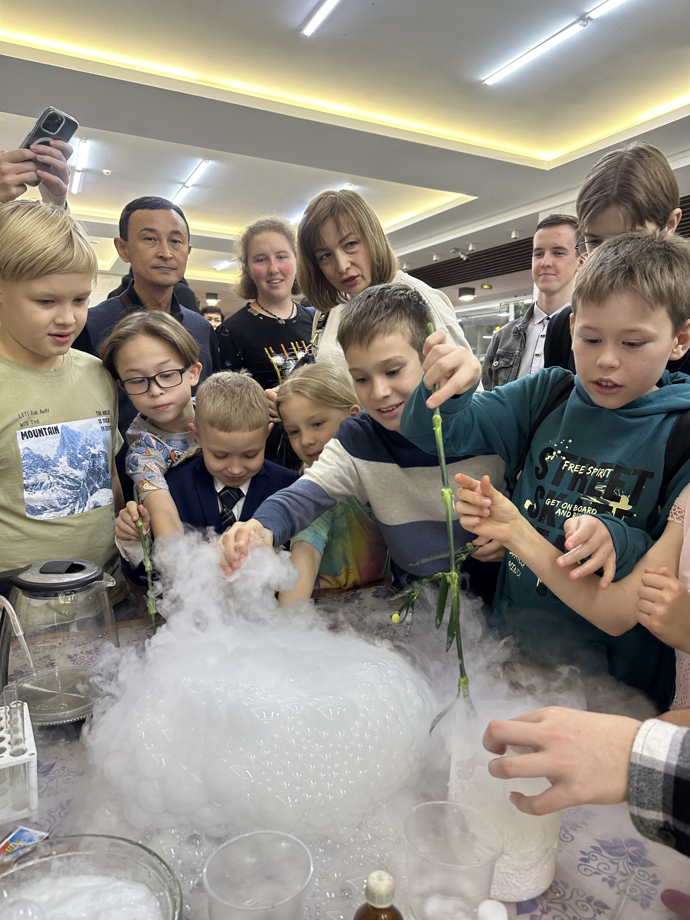 �������� ������� ����������� ����������� � XVII ����� ������-����������� ������� 'PRO����� � ���'