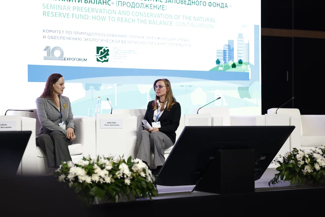 ������������� ����� � �����-����������