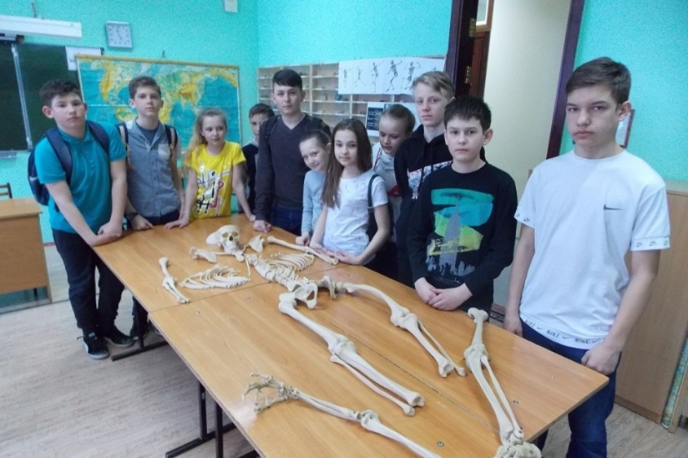 '������ �����' ��� ���������� � ���������