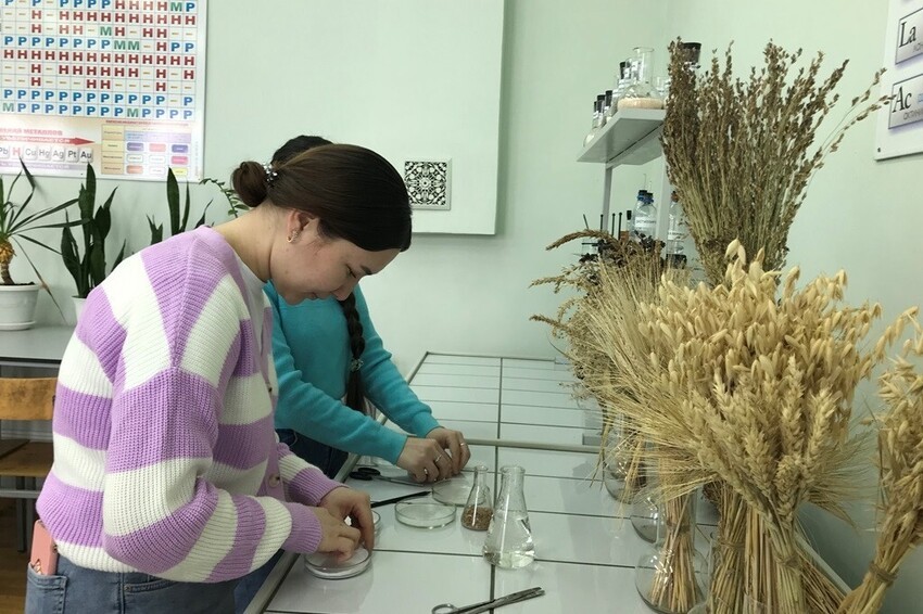 Студенты Елабужского института КФУ отметили праздник 'Навруз' Студенты Елабужского института КФУ отметили праздник 'Навруз'